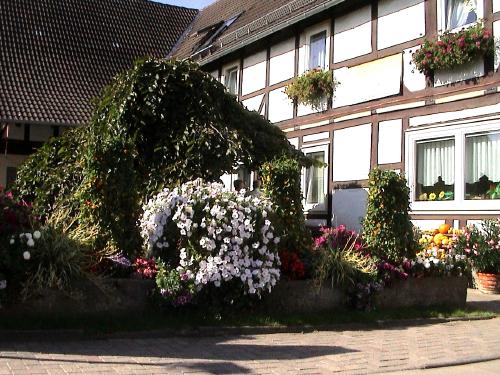 Foto(c)H.-Ulrich Apel