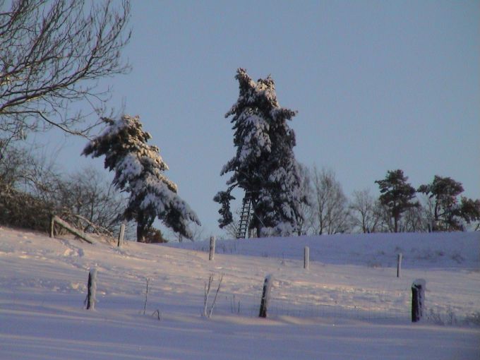 Foto(c)H.-Ulrich Apel