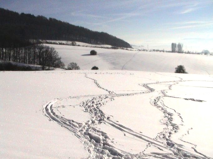 Foto(c)H.-Ulrich Apel