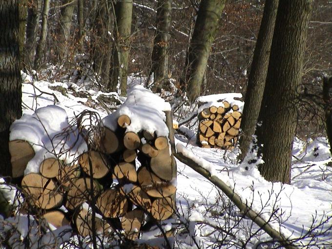 Foto(c)H.-Ulrich Apel