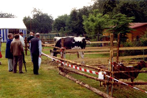 Foto(c)H.-Ulrich Apel