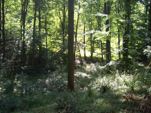 Foto(c)B.Fricke