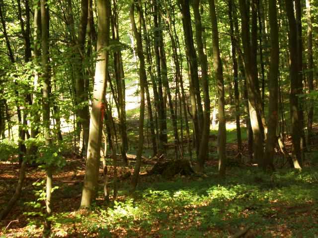 Foto(c)B.Fricke