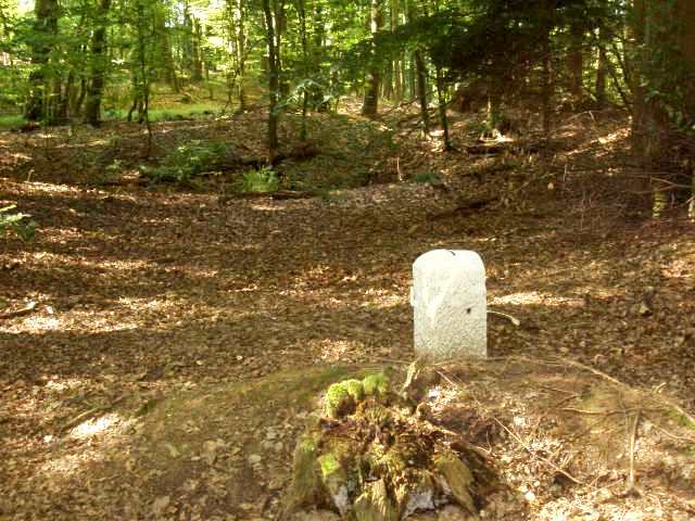 Foto(c)B.Fricke