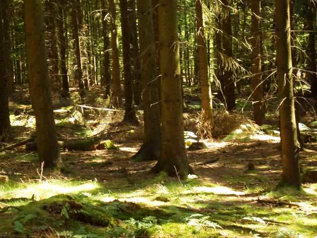 Foto(c)B.Fricke