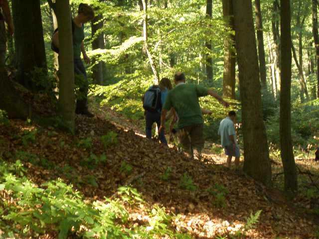 Foto(c)B.Fricke