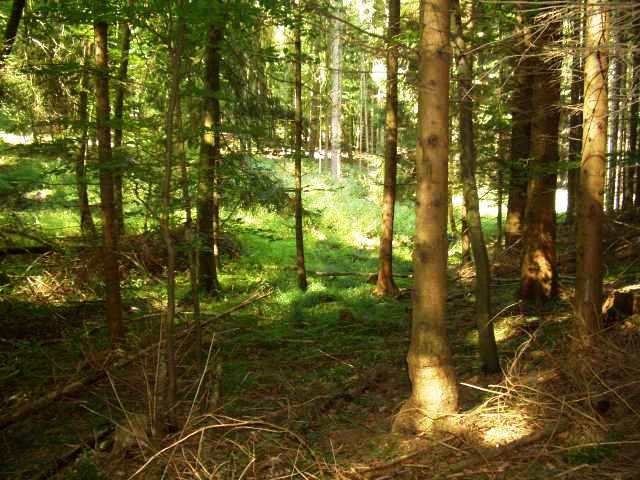 Foto(c)B.Fricke
