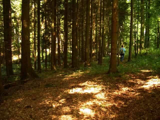 Foto(c)B.Fricke