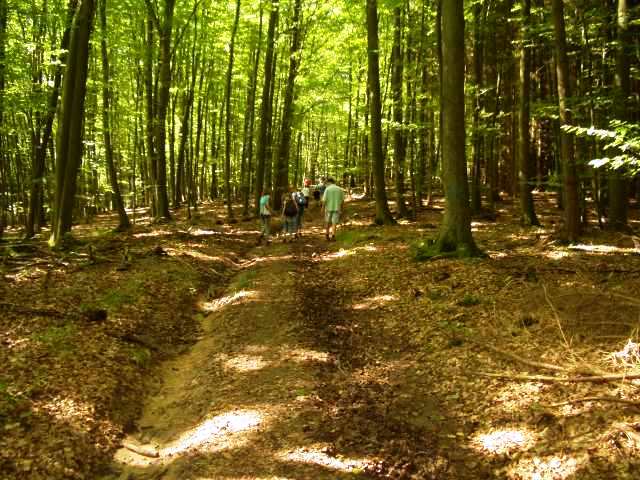 Foto(c)B.Fricke