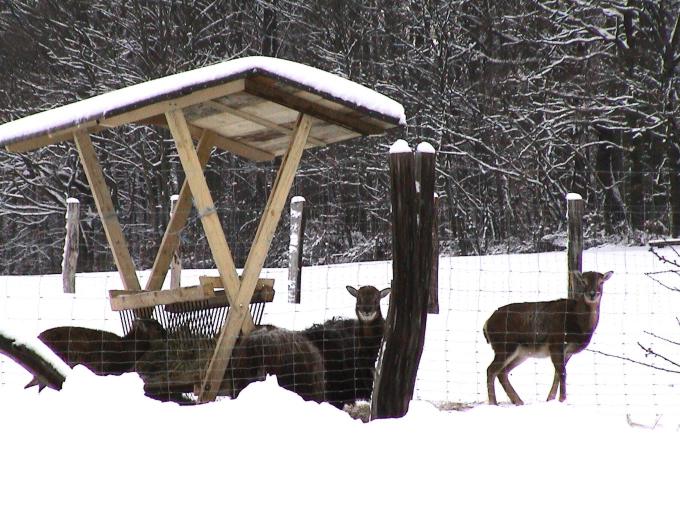 Foto(c)H.-Ulrich Apel